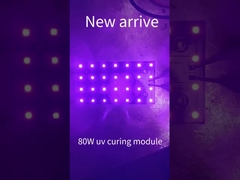 Modulo a LED UV 80W chip a LED per sistema di stampa a LED UV