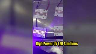 Modulo UV del LED